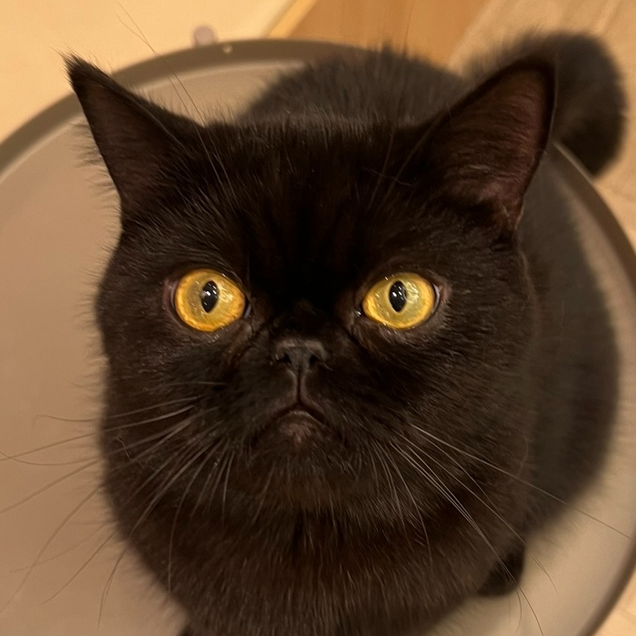のりまき